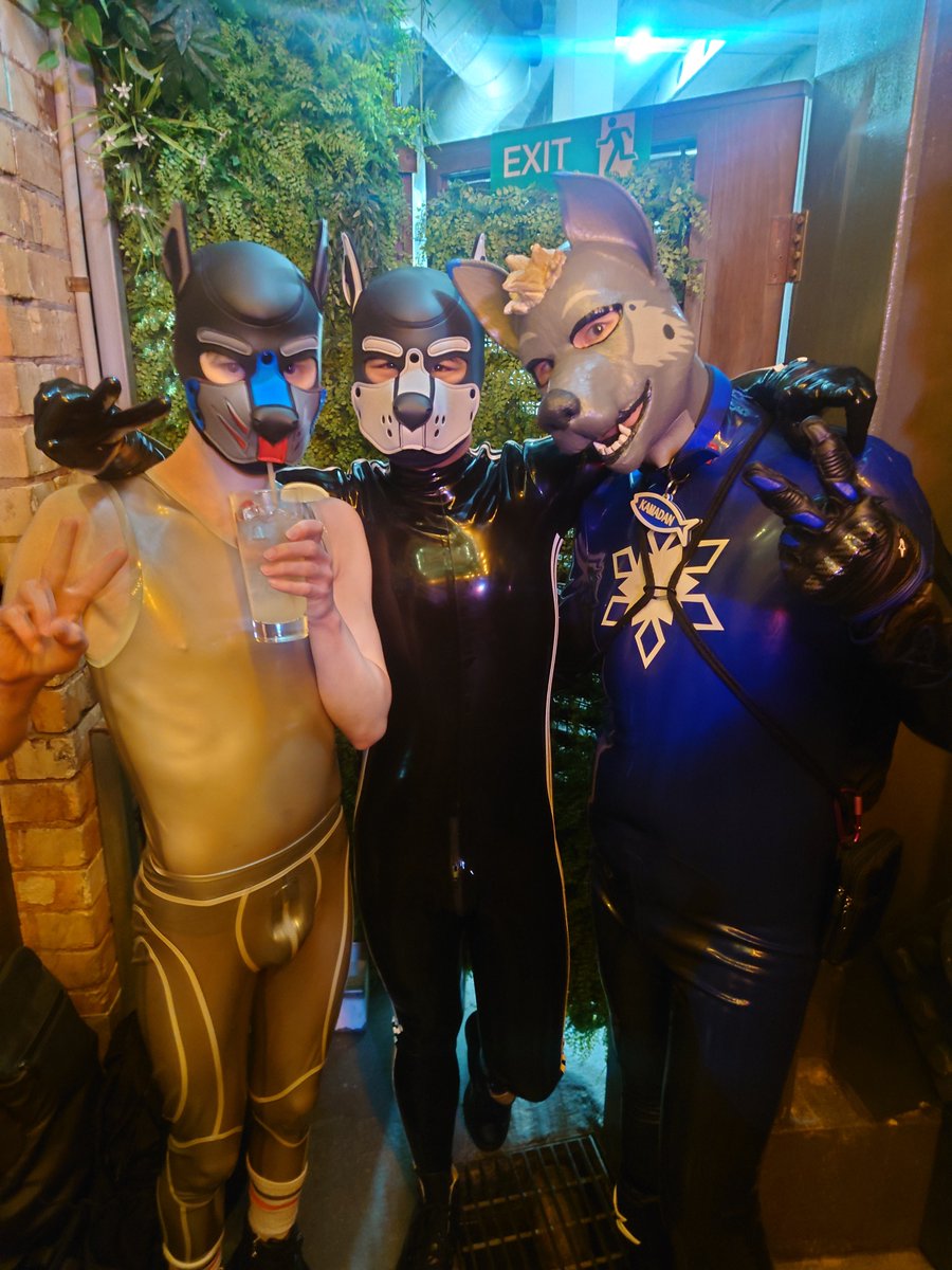 SnowSpottycats's tweet photo. Turned into a ❄️🐶 &amp; headed out to a local leather/gear/pup social night out in town~

Was great meeting all you cuties! *RUFF* 😘

Feat. @LatexPupToro, @NZLatexxx, @DragonGuy99 &amp; too many others I forgot your @ so tag yourselves ⬇️

#RubberPup #HumanPup #Pupplay
#Rubberboy https://t.co/dR9H75H4kL