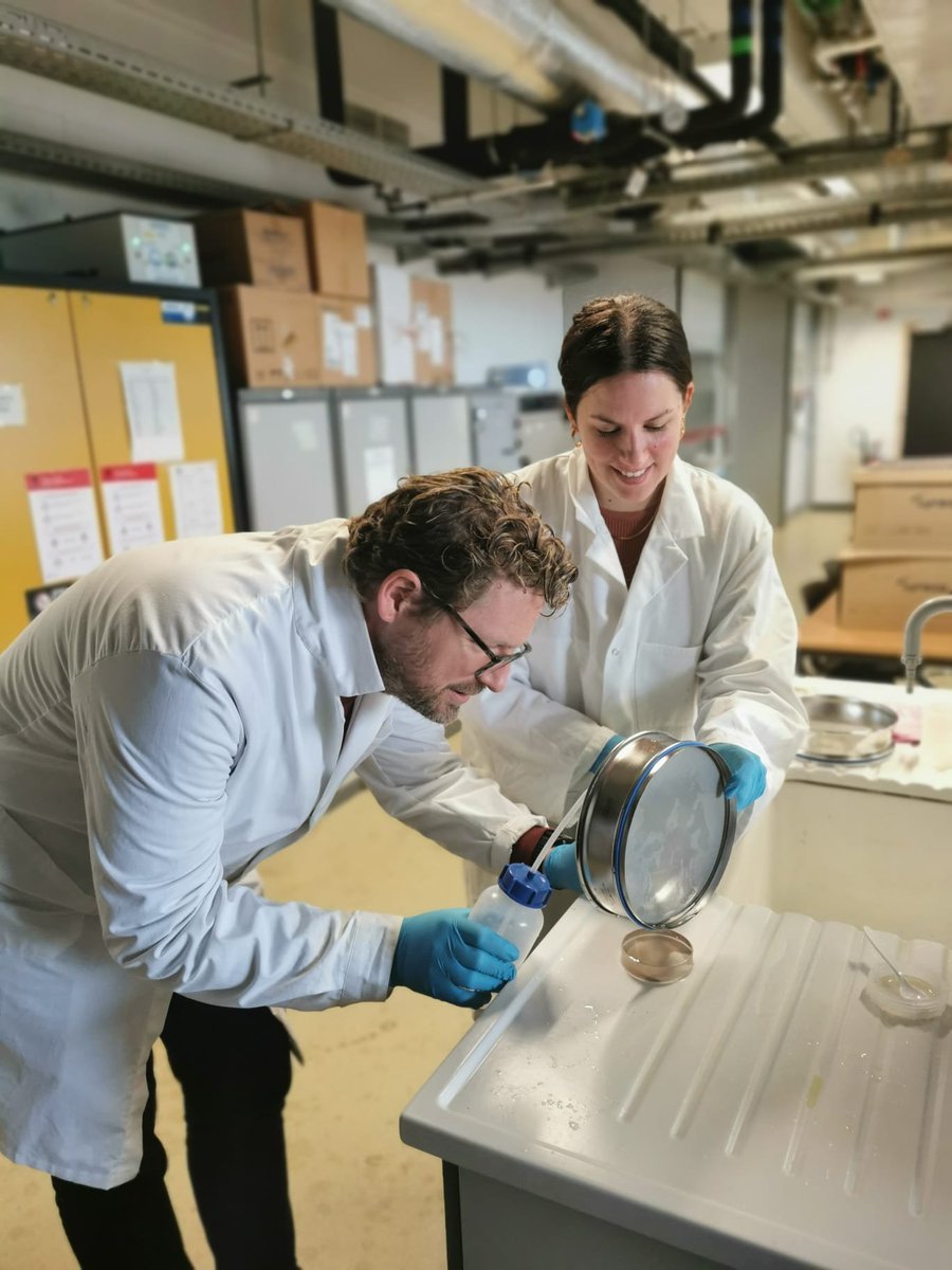 The FLUX Team (ERC Project) tweet media