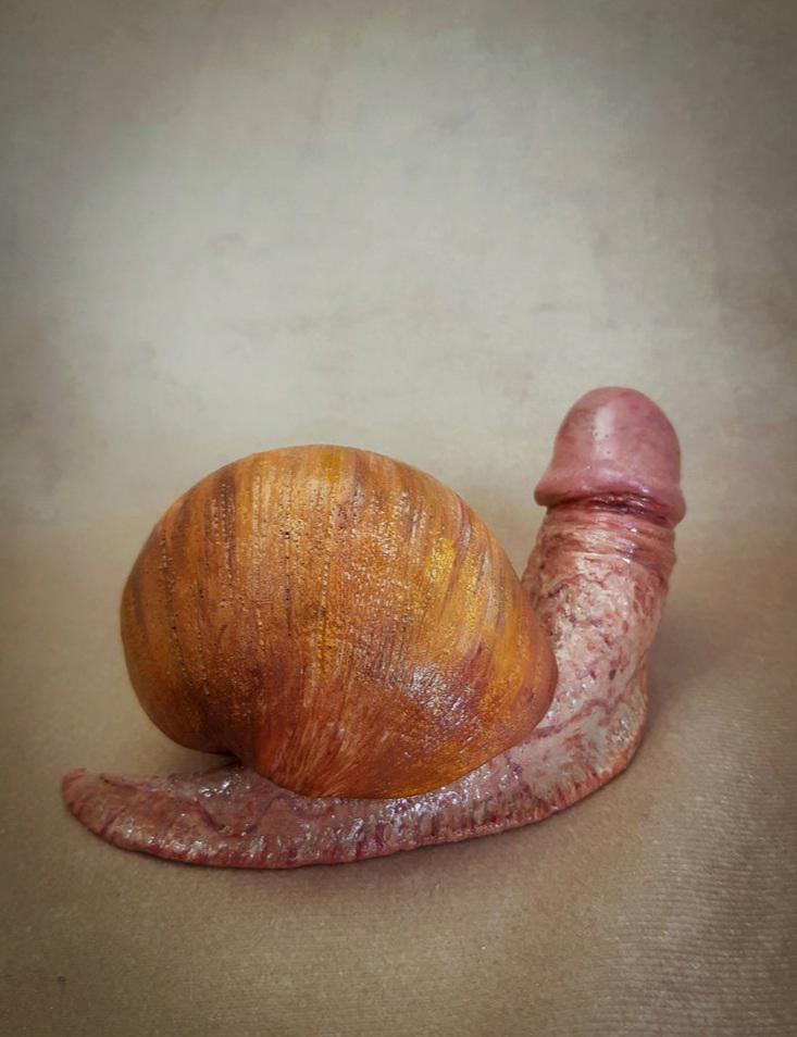 sergio_coma's tweet photo. Coucou la team jardinier 🌱
Depuis quelques jours, avec les fortes pluies, je suis envahi au jardin par des escargots que je ne connaissais pas. Ils sont très voraces et exhalent une odeur parfois infecte. Connaissez-vous ? Comment s'en débarrasser ? Merci 🙏 https://t.co/AQcjDDfiqP