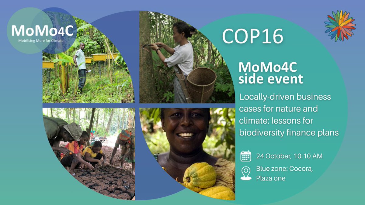 Mobilising More tweet media