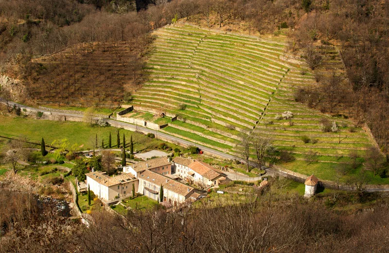 Romdx's tweet photo. @lygone69 @didiermisson @nolegz21 @SergeZaka Alors figurez-vous qu'on appelle ça des faysses, ici en Ardèche et que c'est un patrimoine classé à l'UNESCO https://t.co/pth4qEwtav https://t.co/YXGrabpfZK