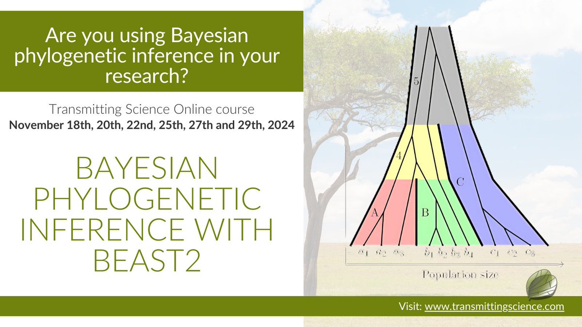 TransmitScience's tweet image. Visualise constructing evolutionary trees that tell the story of life&apos;s diversity. 
Join others in exploring the evolutionary history using BEAST2. 🌳🔍
If you’re intrigued, you can register here: transmittingscience.com/courses/evolut…

#TScourses #KeepLearning #Phylogenetics #BayesianInference