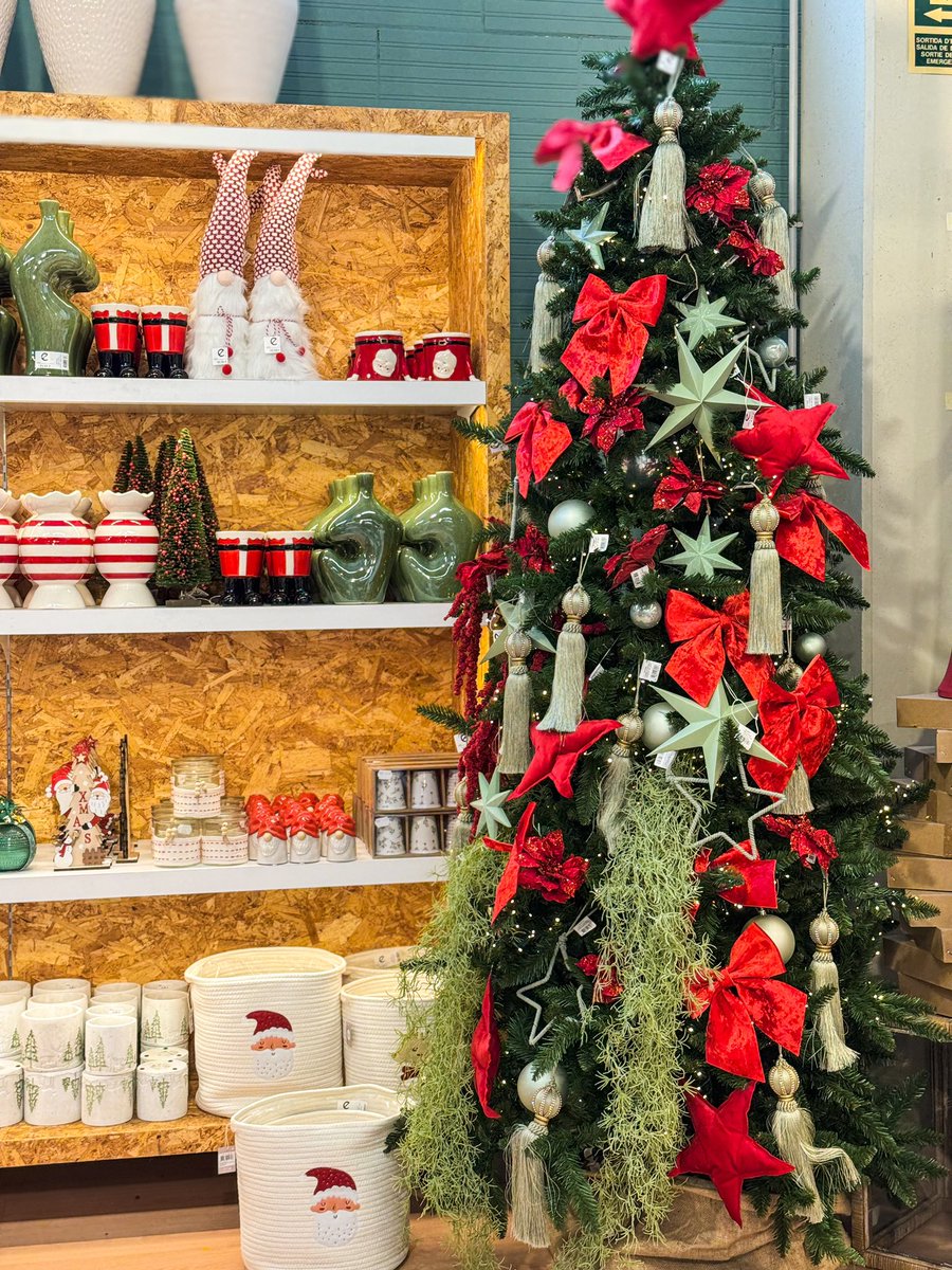 Vivers Ernest 🧡 Home & Garden tweet media