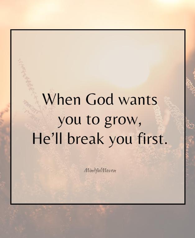 mindfulmaven_'s tweet image. 