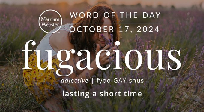 Merriam-Webster Word of the Day October 17, 2024 'fugacious' adjective | fyoo-GAY-shus "lasting a short time" Background Image: A woman admiring flowers 