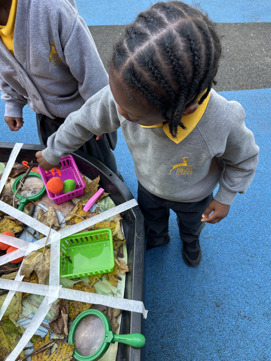 Reception have been honing their fine-motor skills by exploring our Autumn nature table with magnifying glasses and tweezers through this gigantic spider web. 🕸️ I wonder if it belongs to Kwaku Anansi… ⁦<a href="/ReayPrimary/">Reay Primary School</a>⁩