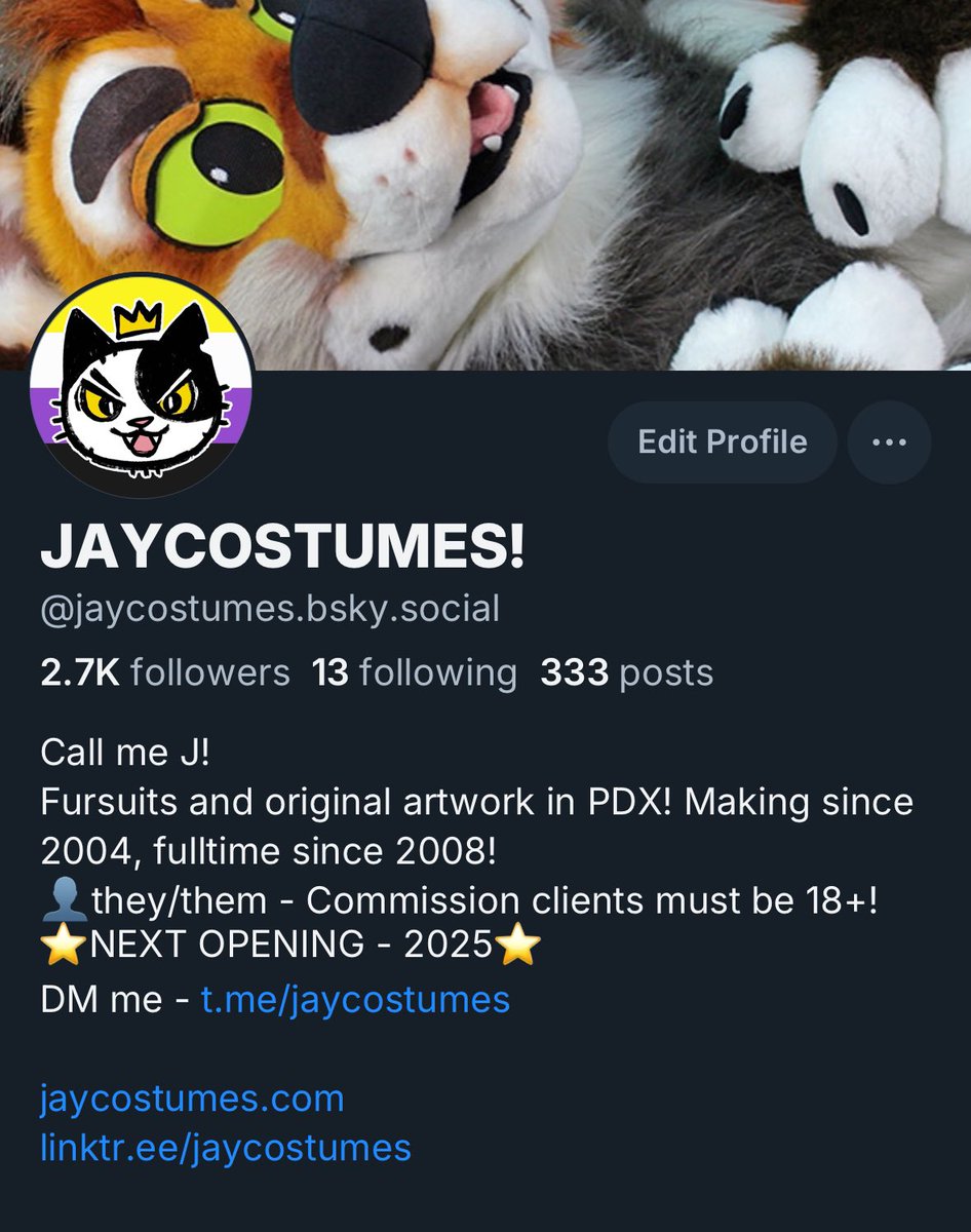 Shared a brand new fursuit over here today … just sayin