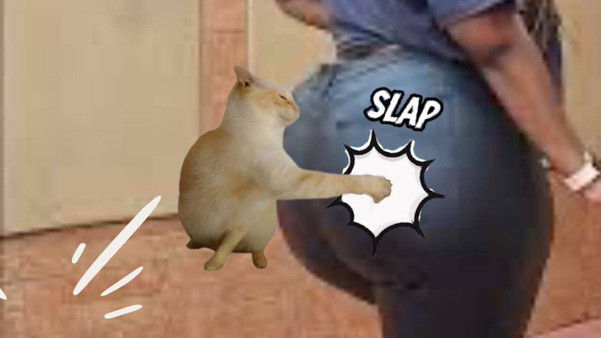 _siihtam_'s tweet photo. @CartiTheMenace Headed for the skies with $SLAP in hand

EH2tRrNn2TfD2c1vNLMrNaxa4wskzEnzb1Vo5YDRpump

#GTBTeam

https://t.co/ZRWCGK8yaO

@slapcatcto https://t.co/MlleDfMBSk