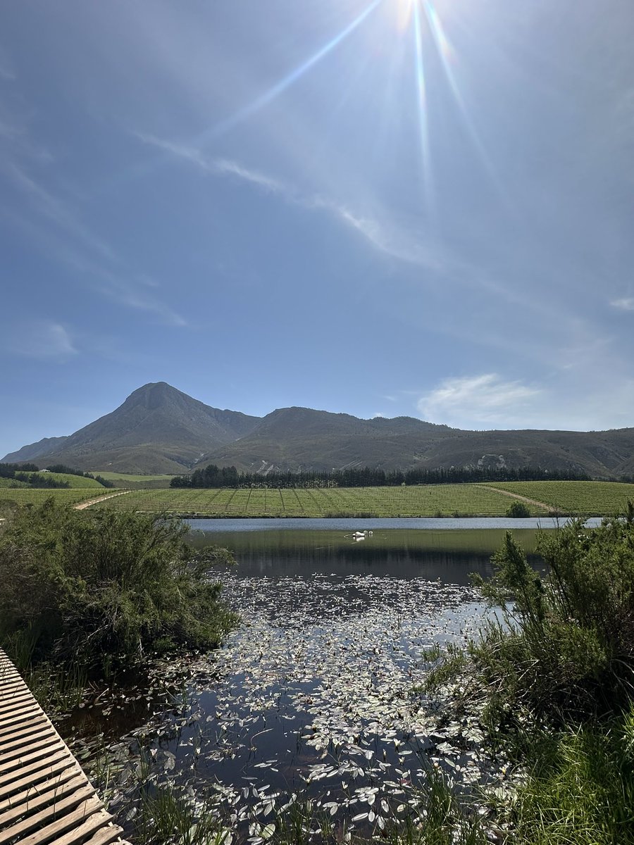 _mtedwards's tweet photo. #Hermanus 🇿🇦 https://t.co/YDwduLSeL0
