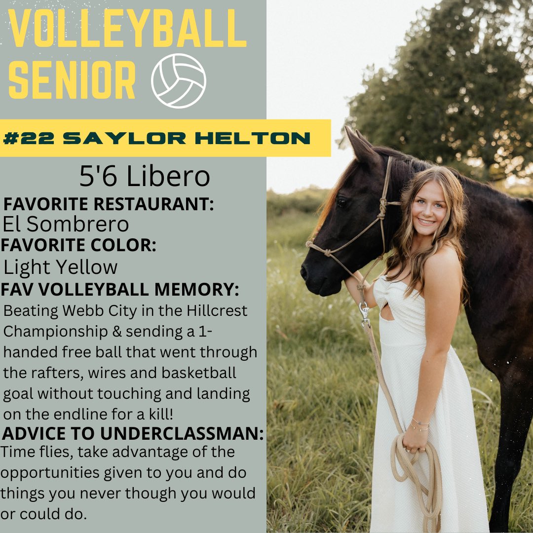 Lebanon Volleyball tweet media