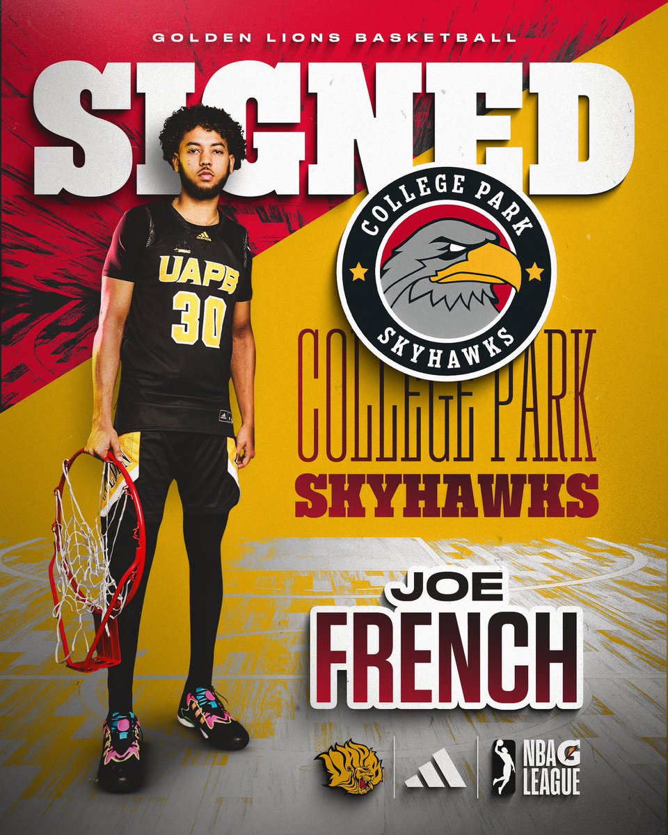 Golden Lion Basketball 🦁 tweet media