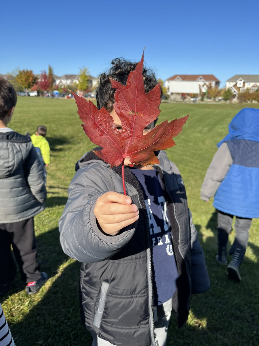 MissMertl's tweet photo. Mushrooms, leaves, bunny poop oh my 🍄🍁🐇! 
Our first trip to the Dragon park was great! So much to discover during outdoor learning! https://t.co/DWI80xv7t8