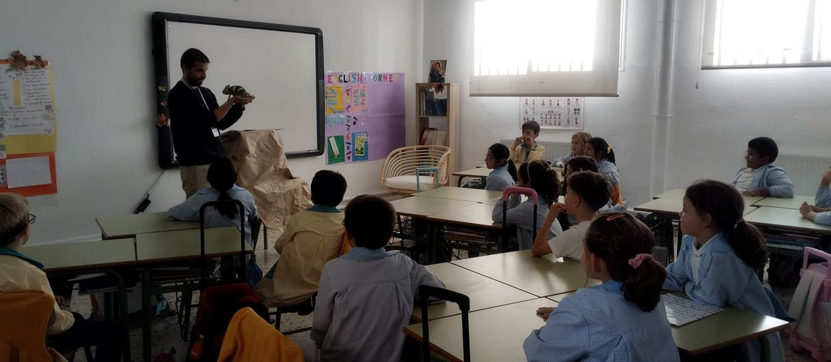 👉 En #2EP recibimos  una visita muy especial: Yoda, el camaleón.
Hemos aprendido mucho sobre su vida y costumbres.
Nuestro homenaje plasmado en nuestros dibujos.

#ColegioSanRafaelMadrid #ParentesRedEducativaInternacional