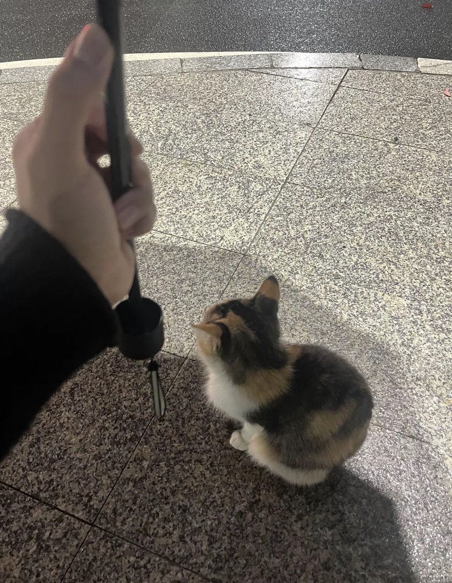 小熊玩具 tweet media