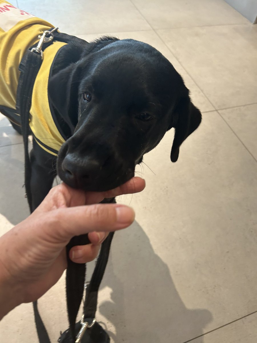 Nuevo alumno hoy en clase, pero creo que no va a repetir 😅❤️❤️❤️❤️