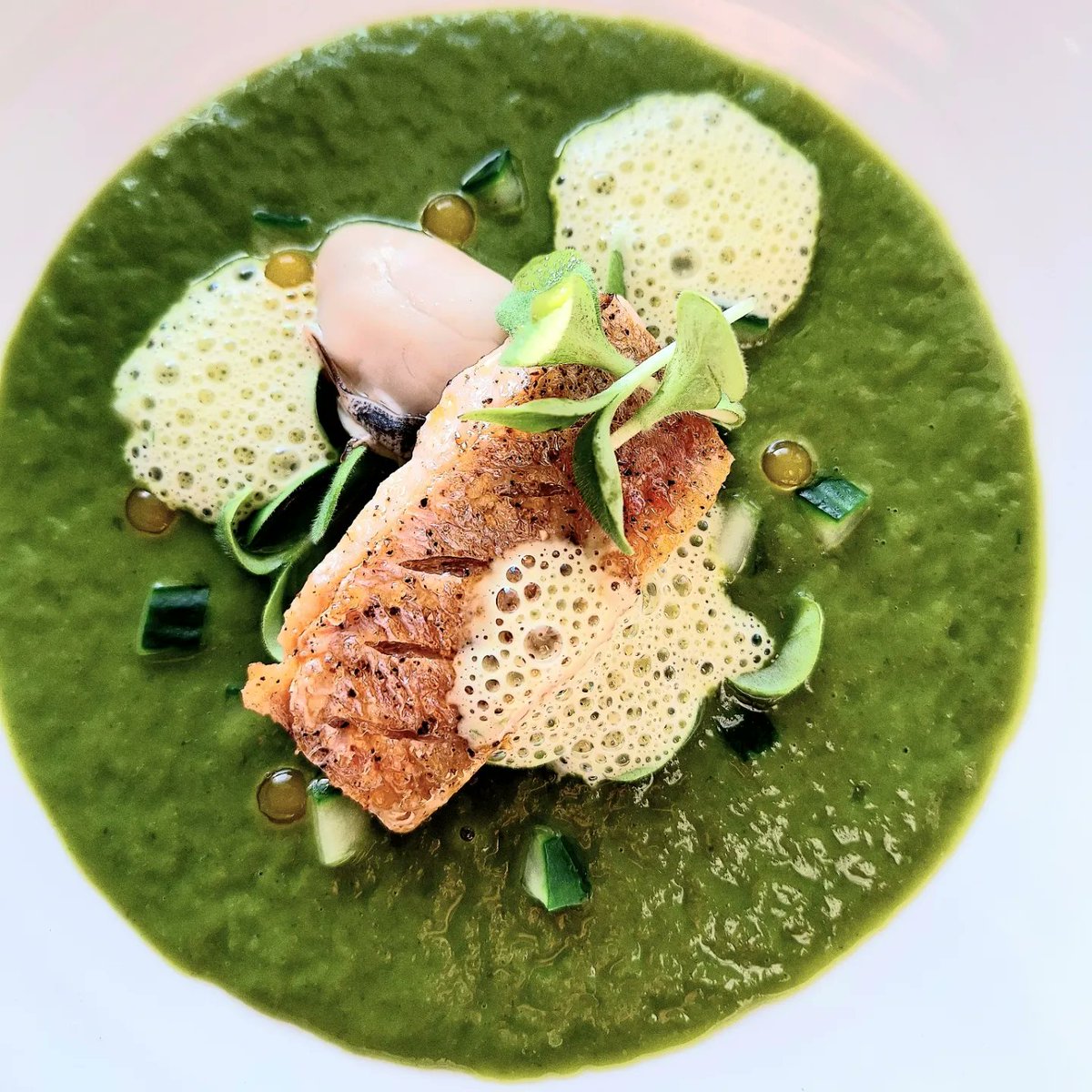 keepitcooking1's tweet photo. Here's a dish I cooked, combing an array of flavours of the sea. 
Red Mullet, Oyster, Cucumber, Borage Cress &amp; Aventurine Algae
#keepitcooking
#kitchensessions https://t.co/hAFW46xy4P