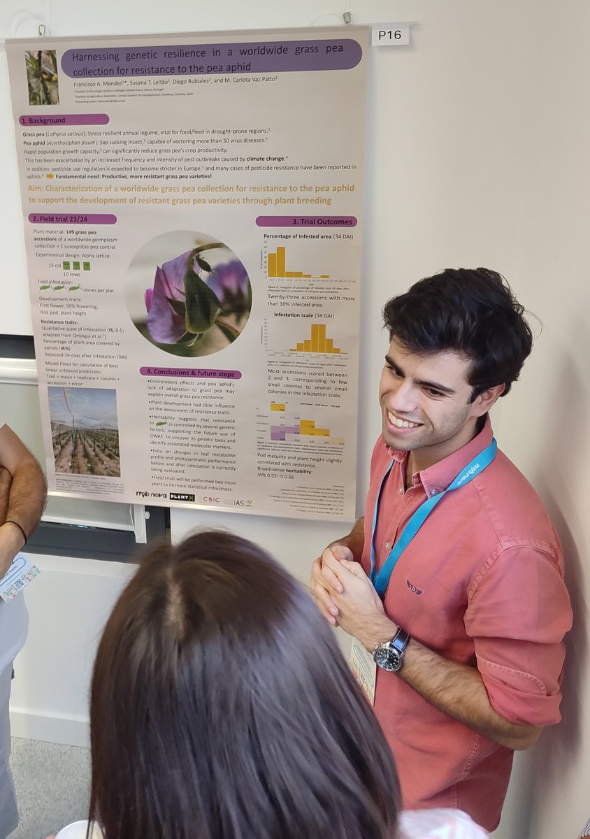 So proud of our #PhDstudent #FranciscoMendes, presenting his beautiful work on #Aphid 🦖resistance in #GrassPea #Lathyrus. #ITQBNOVAPhDStudentsMeeting. Well done Francisco!👏🏻 <a href="/itqbnova/">ITQB NOVA</a> <a href="/greenit_bio4sus/">GREEN-IT</a>