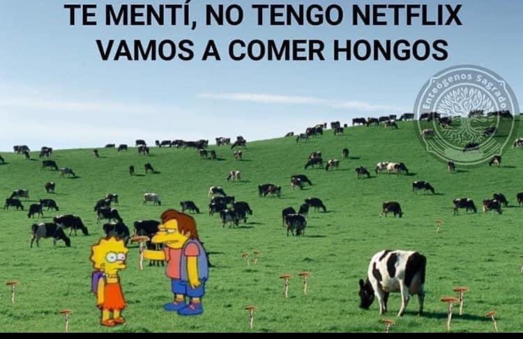 Otto Leal (@ottioleal) on Twitter photo 