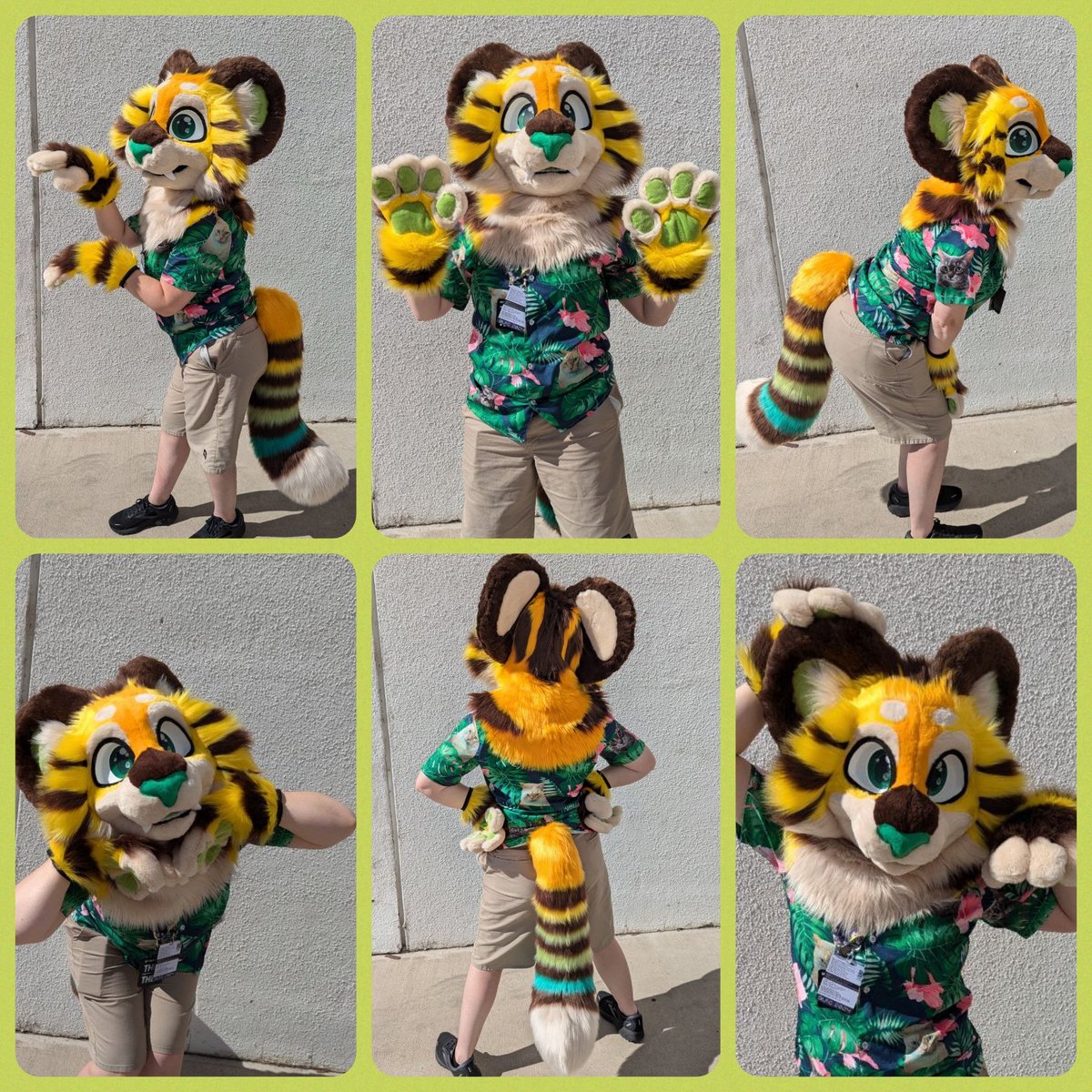 topdog_studios's tweet photo. We are now accepting online offers to adopt Safari and Leon!

Safari - 3️⃣5️⃣0️⃣0️⃣
Leon - 3️⃣2️⃣0️⃣0️⃣

Leon is discounted! Both have head, hands and tail (with options for future upgrades)

Payment plans ONLY AVAILABLE via BN,PL or Credit, otherwise only accepting IN FULL

Free Ship in the US, costs extra for International

Inquire within!