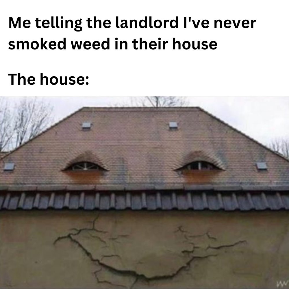 mastertokes tweet picture