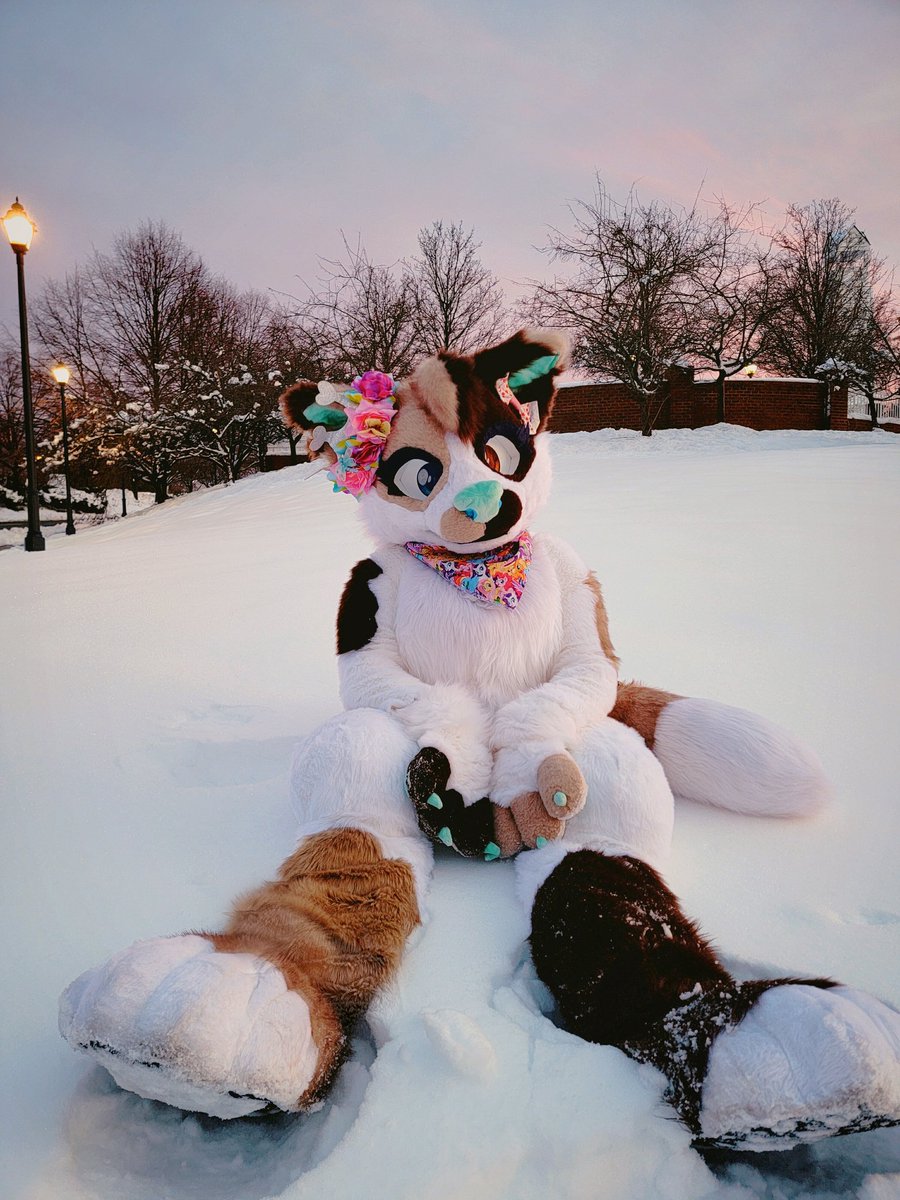 😸 🔞 Minty Coco on 🦋 💖 tweet media