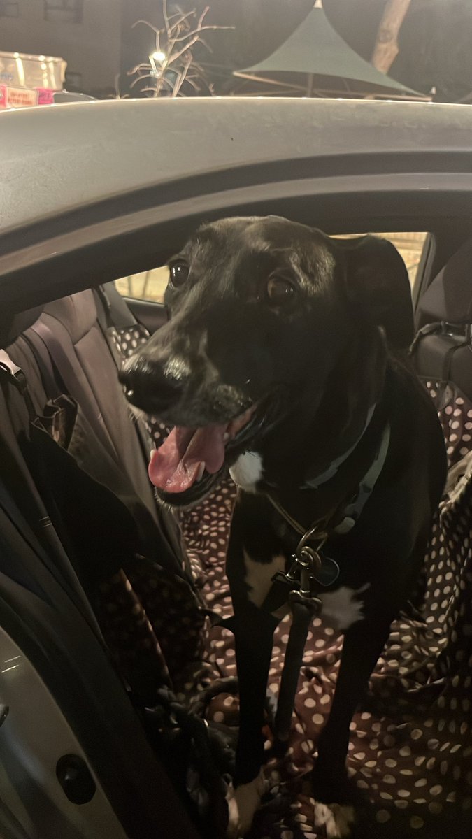 ההורים באו אליי לסיוע הומינטרי 🫠