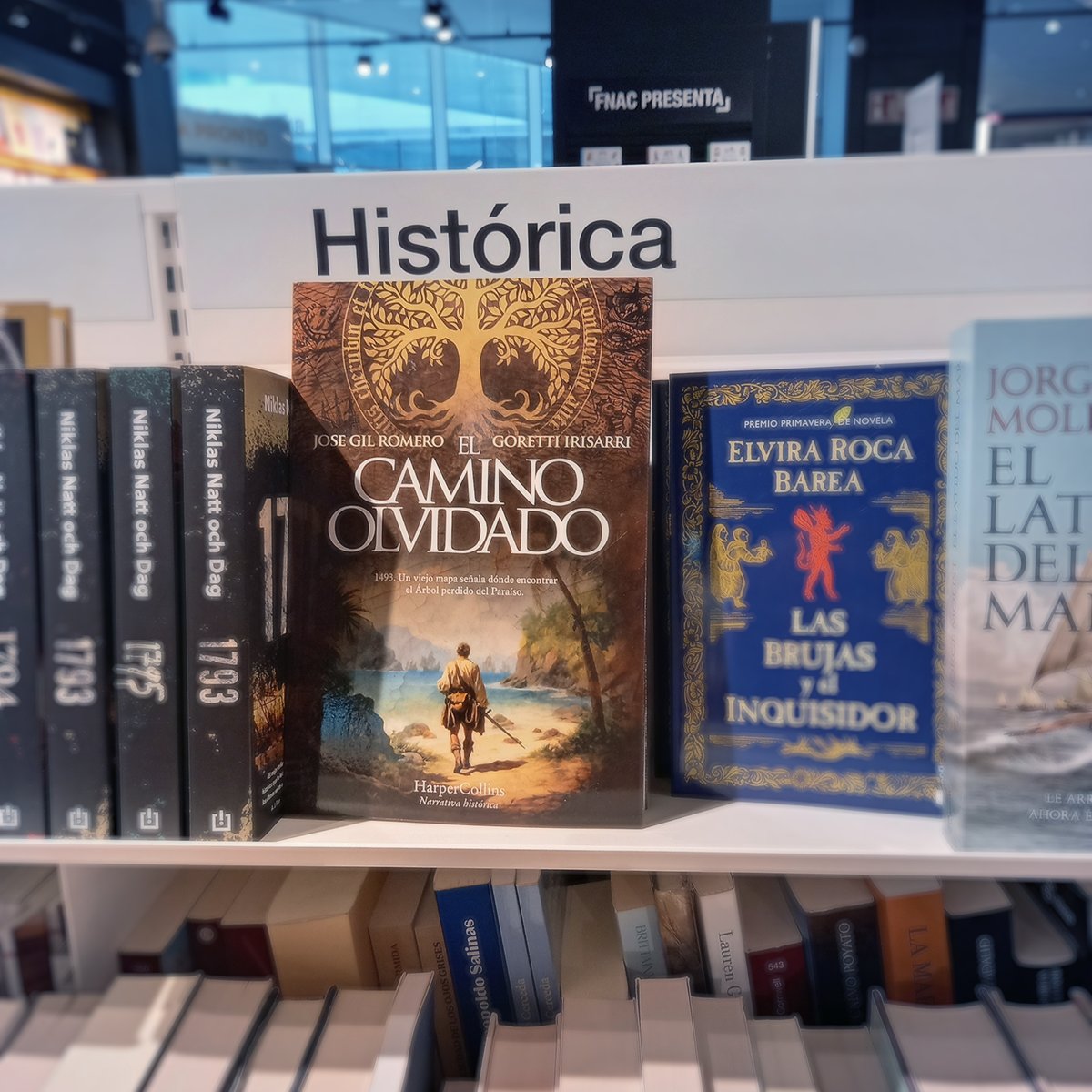 Gil Romero Irisarri tweet media