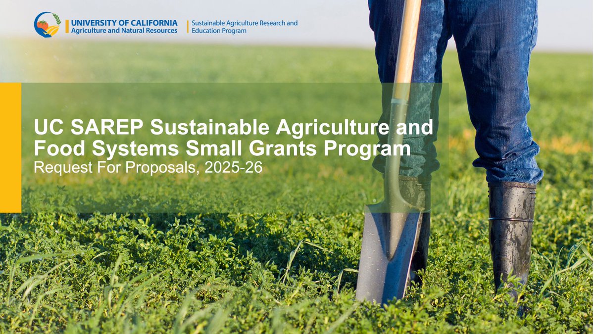 Announcing the UC SAREP Sustainable Agriculture and Food Systems Small Grants Program request for proposals for 2025-26. Application deadline January 14, 2025. For more information and to apply: sarep.ucanr.edu/grantsFY25-26