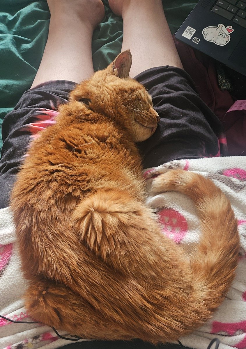 Making the most of cuddles.