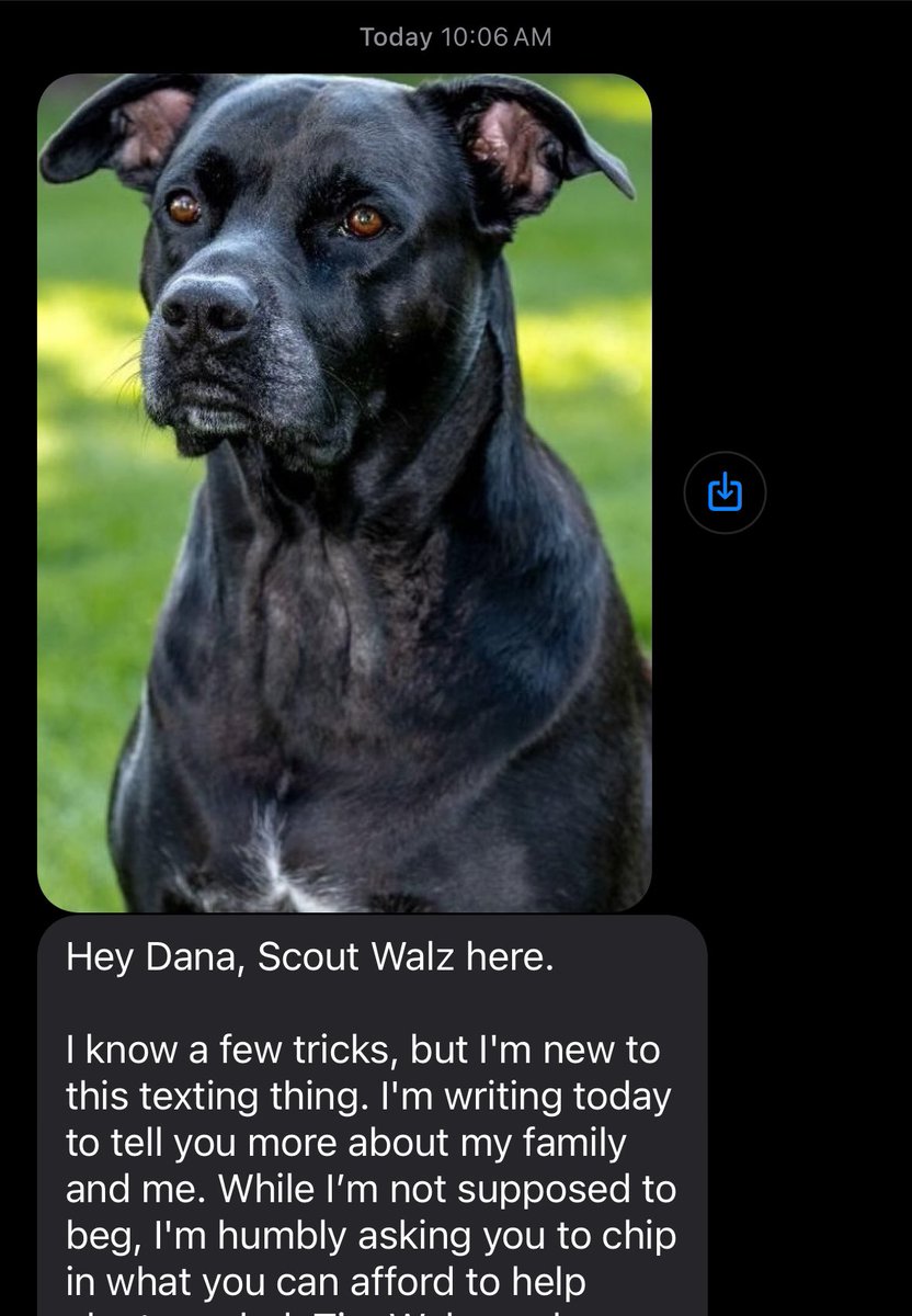 I just got a text from Tim Walz’s dog, how is your day going