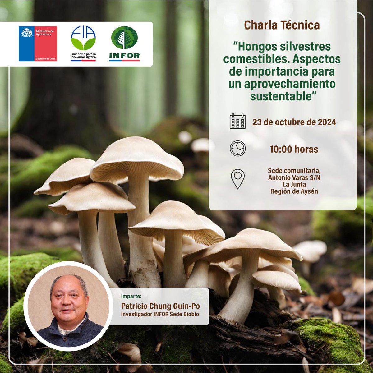 📣ATENCIÓN! todas y todos invitados a participar de la Charla técnica “Hongos silvestres comestibles. Aspectos de importancia para un aprovechamiento sustentable” que dictará el investigador de INFOR, Patricio Chung Guin-po.