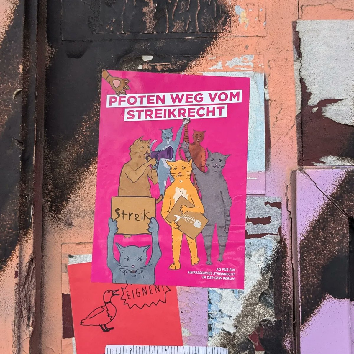 All cats love the right to strike! Die AG für ein umfassendes Streikrecht in der @GEW_Berlin hat ein großartiges Plakat und Aufkleber zur Verteidigung des #Streikrechts entworfen. Wer welche haben möchte, kann sich bei ihnen melden: gew-berlin.de/arbeitsgruppen…