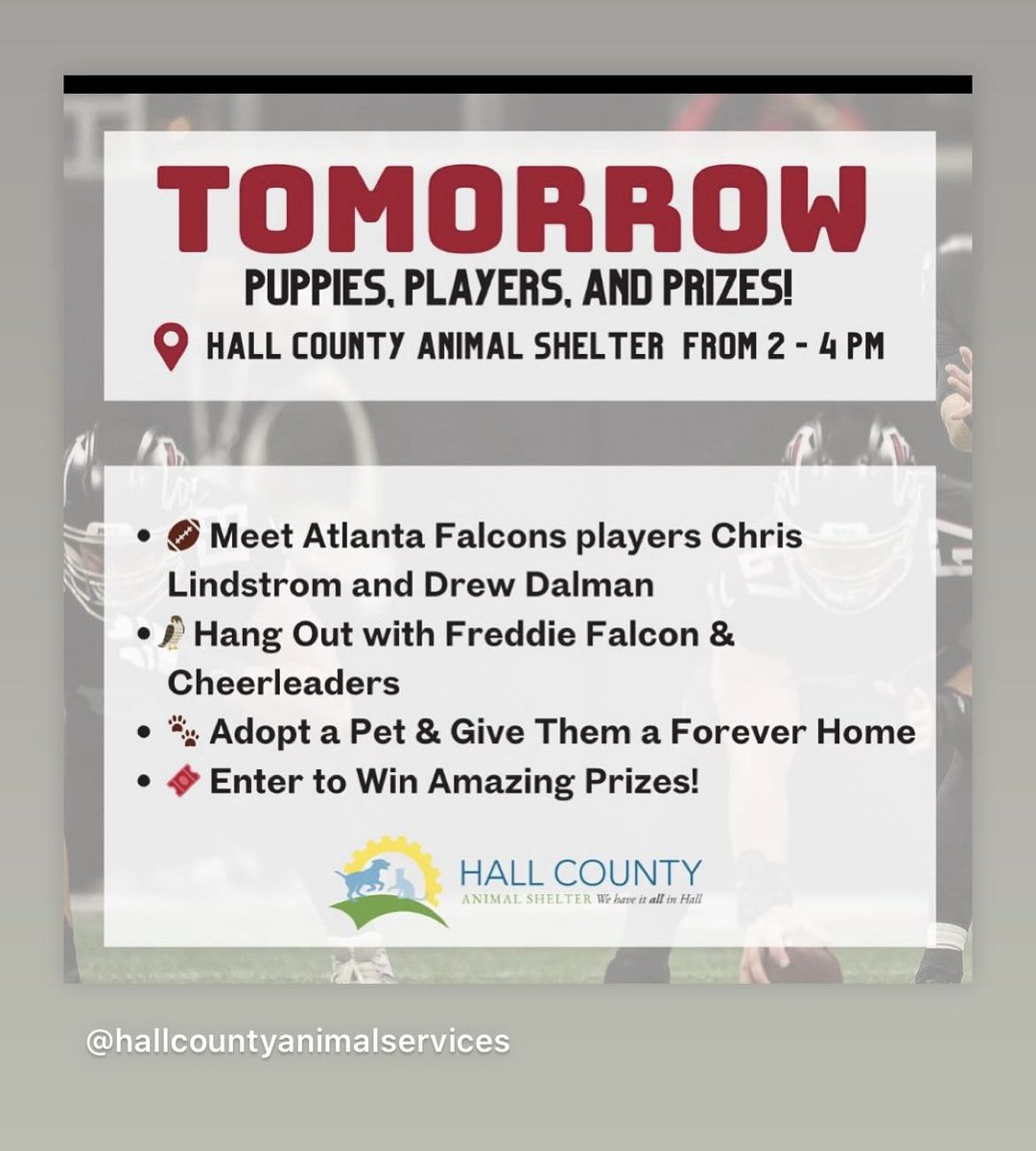 Georgia friends! My brother and Chris are hosting a hang out at the Hall County Animal Shelter tomorrow in hopes of giving some very deserving pets a forever home. 

Show up for a great cause! #RiseUp
