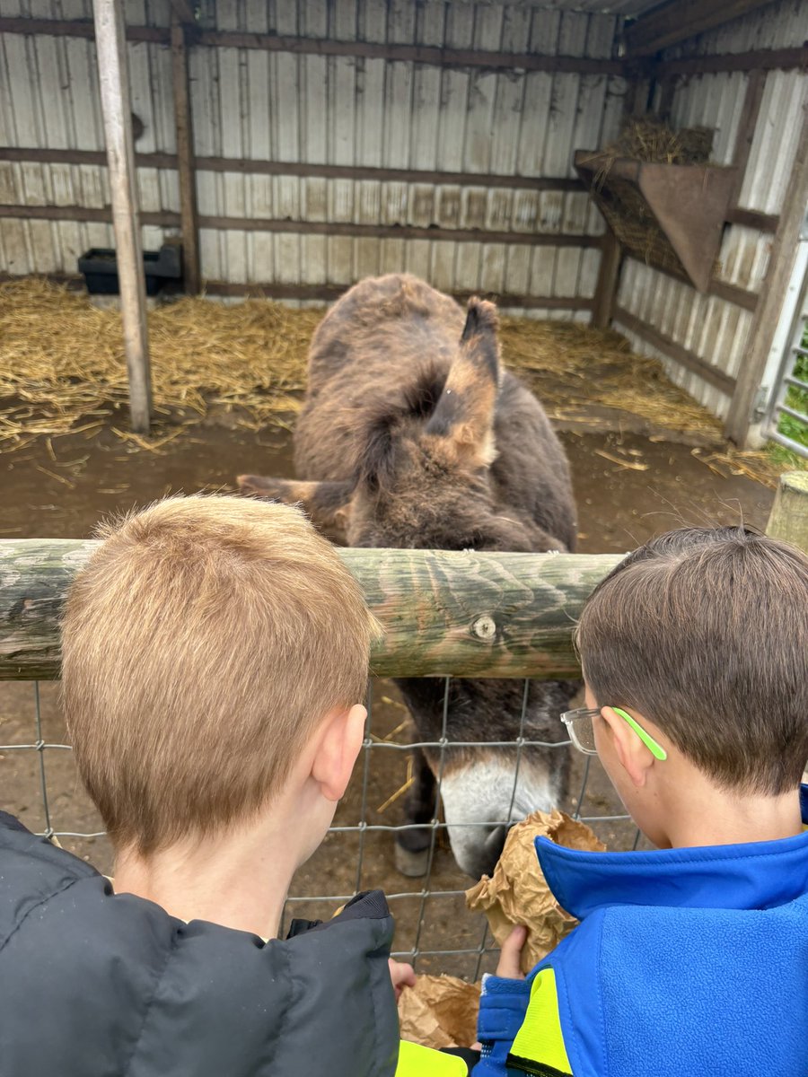 EastfieldPSHull's tweet photo. And finally we went to see all of the farmyard animals and fed them some yummy food ππππ¦ #eps3MP https://t.co/LBQxMd4KUD