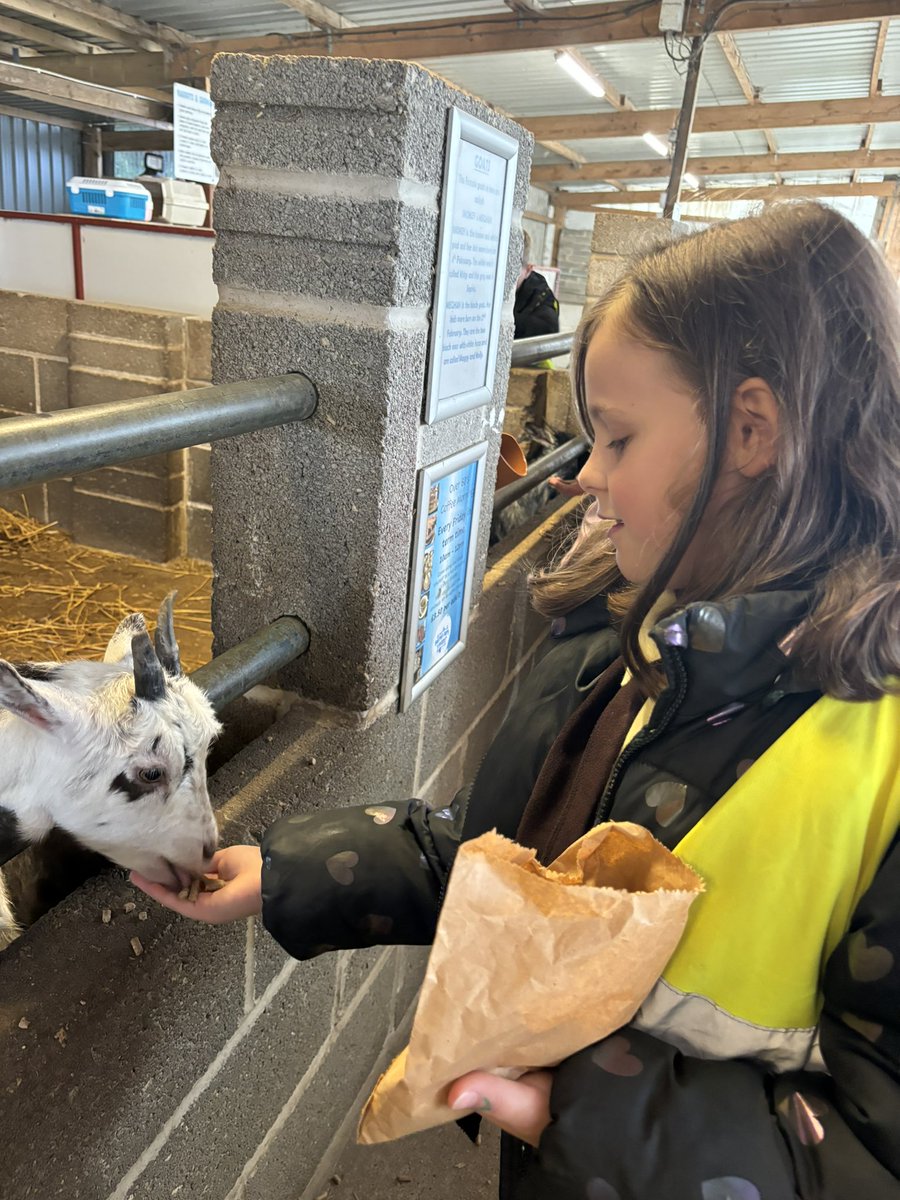 EastfieldPSHull's tweet photo. And finally we went to see all of the farmyard animals and fed them some yummy food ππππ¦ #eps3MP https://t.co/LBQxMd4KUD