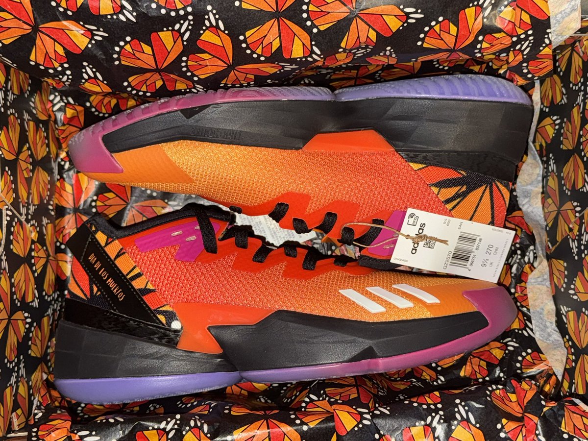 13ctmd's tweet photo. @adidasHoops https://t.co/iW4bid90GH