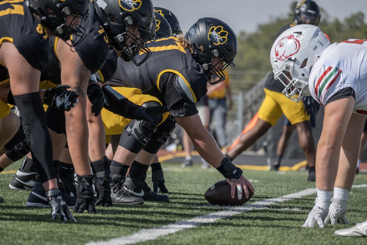 wscwildcats's tweet photo. .@WayneStFootball ventures north this weekend for Saturday afternoon matchup at UMary.  #PlayforthePaw
https://t.co/i11QARSR2C https://t.co/tEksxgVSW4