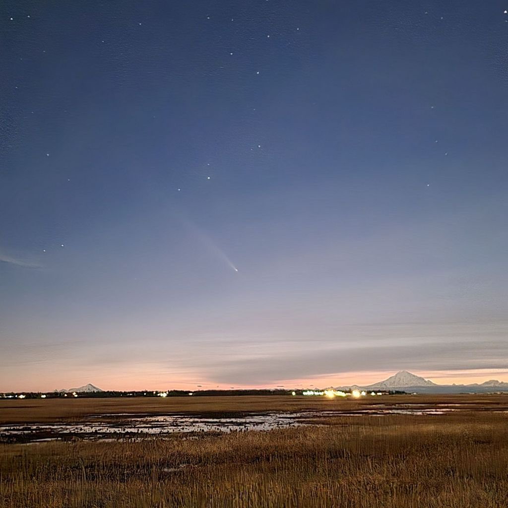 Delano Rey tweet media