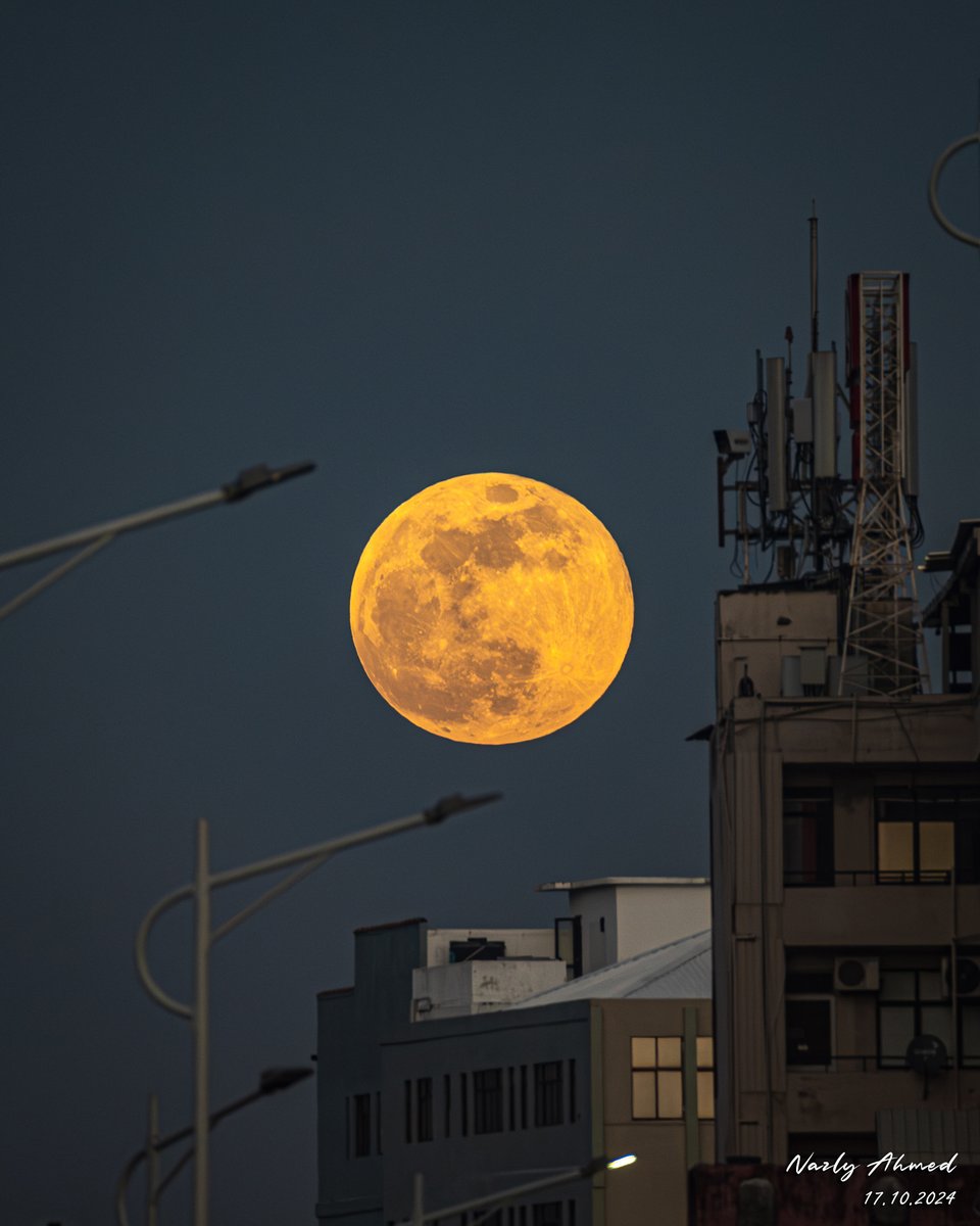 vap full moon poya day Al Fakher Vape 8000 Dual Mode – Crown Vape main image 0