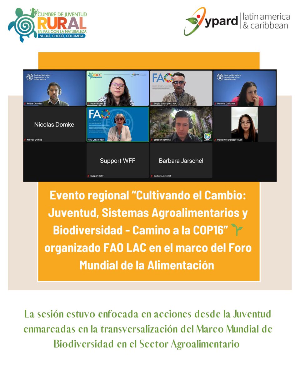 YPARD Latin America & Caribbean tweet media