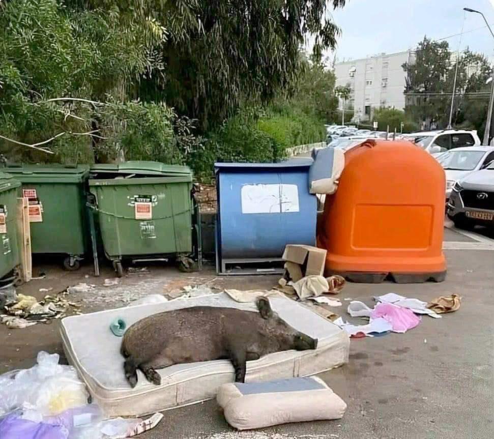 jttrantala's tweet photo. Gilles Châtelet, To Live and Think Like Pigs: Envy and Boredom in Market-Economy Democracies (2014) https://t.co/JIKGNRG2eS
