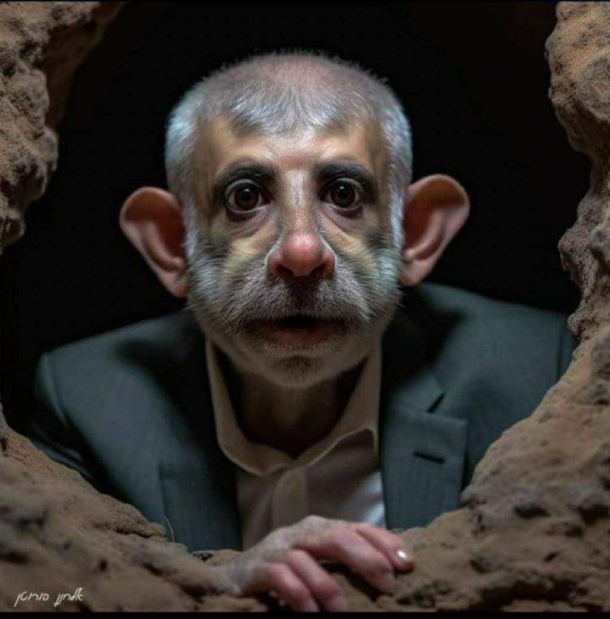 إيدي كوهين אדי כהן 🇮🇱 tweet media