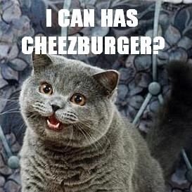 Real talk for a moment...

Think to yourself, "have I ever seen this meme before?"

Odds are, the answer is yes. It's literally one of the first memes that started the trend of internet memes. 

The vision is clear, the lore is unparalleled, and the future is infinite 🍔😺