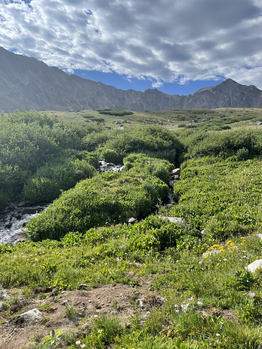 Jennifer Strong McConachie tweet media