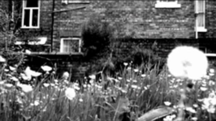 Scaly LG_X tweet media
