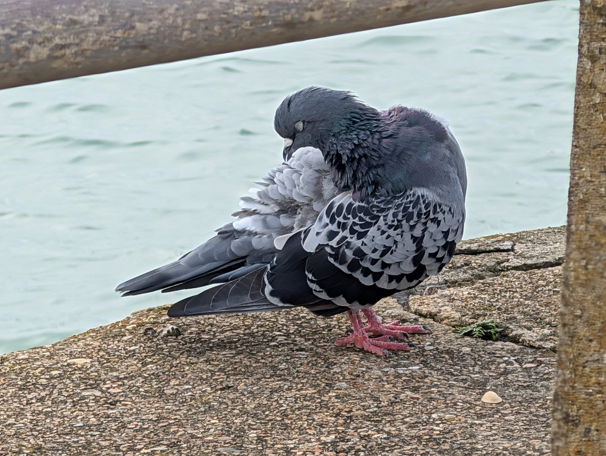 Pitchedup24's tweet image. Sharing a moment with these little guys..