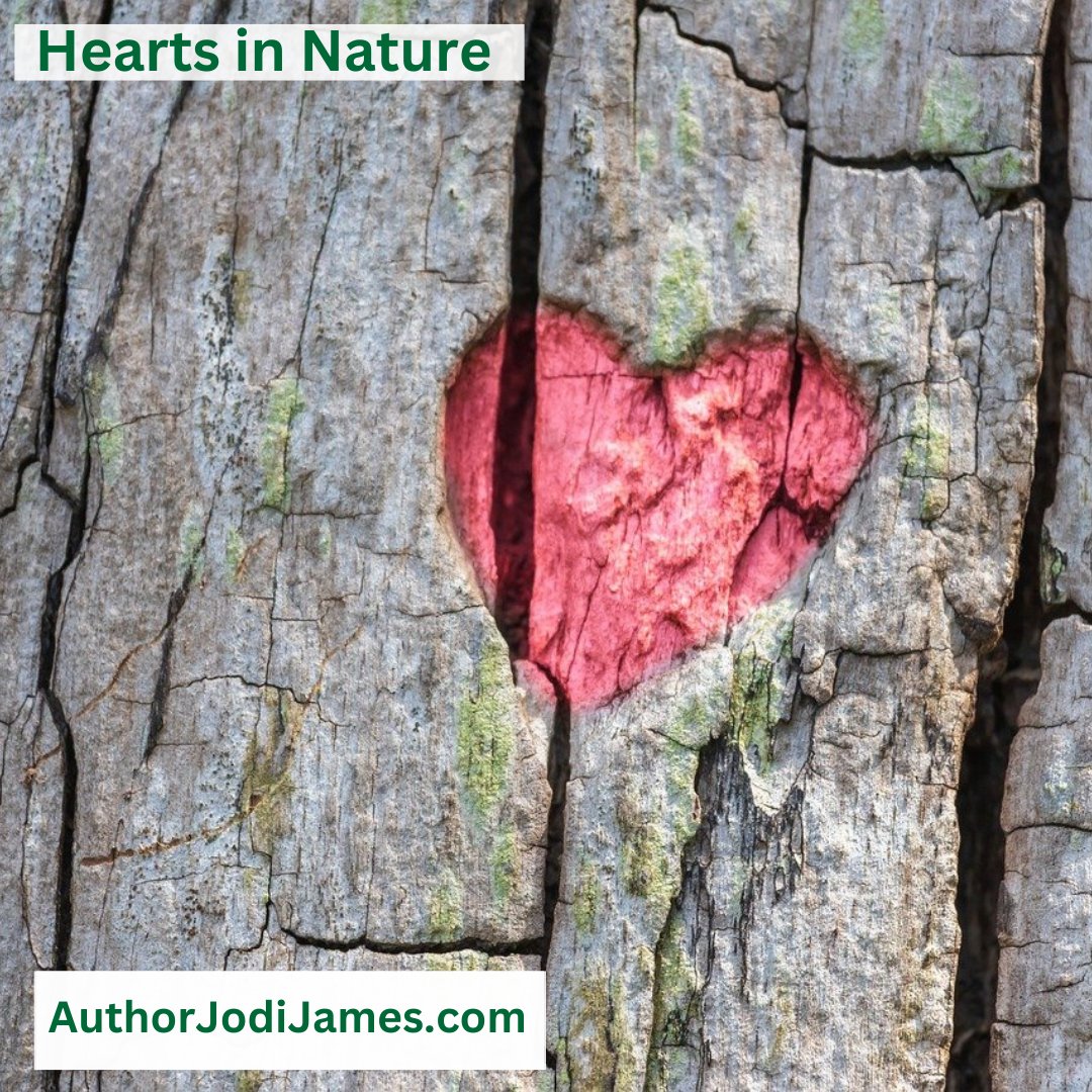 #Hearts in #Nature Series 24
AuthorJodiJames.com
#heart #romance #RomanceBooks #Relationships #embrace #Love #Romantic