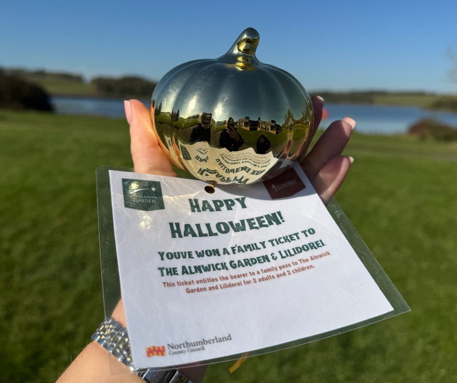 Ready, Set, Explore! 🍂🎃

SIX GOLDEN PUMPKINS have been hidden in local parks and nature reserves, each holding a free family pass to The Alnwick Garden – just in time for October half-term!

Join the treasure hunt this Sunday 20 October

gov.pulse.ly/etlegjoaq5