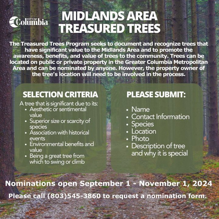 CityofColumbia's tweet photo. It's not to late! The City of Columbia Forestry and Beautification Department is still accepting nominations for the 2024 Treasured Trees Program. 🌳 

Nominations are open until November 1, 2024

Call 803-545-3860 to request a nomination form. 📞 

#TogetherWeAreColumbia https://t.co/cjLZZrY8iI