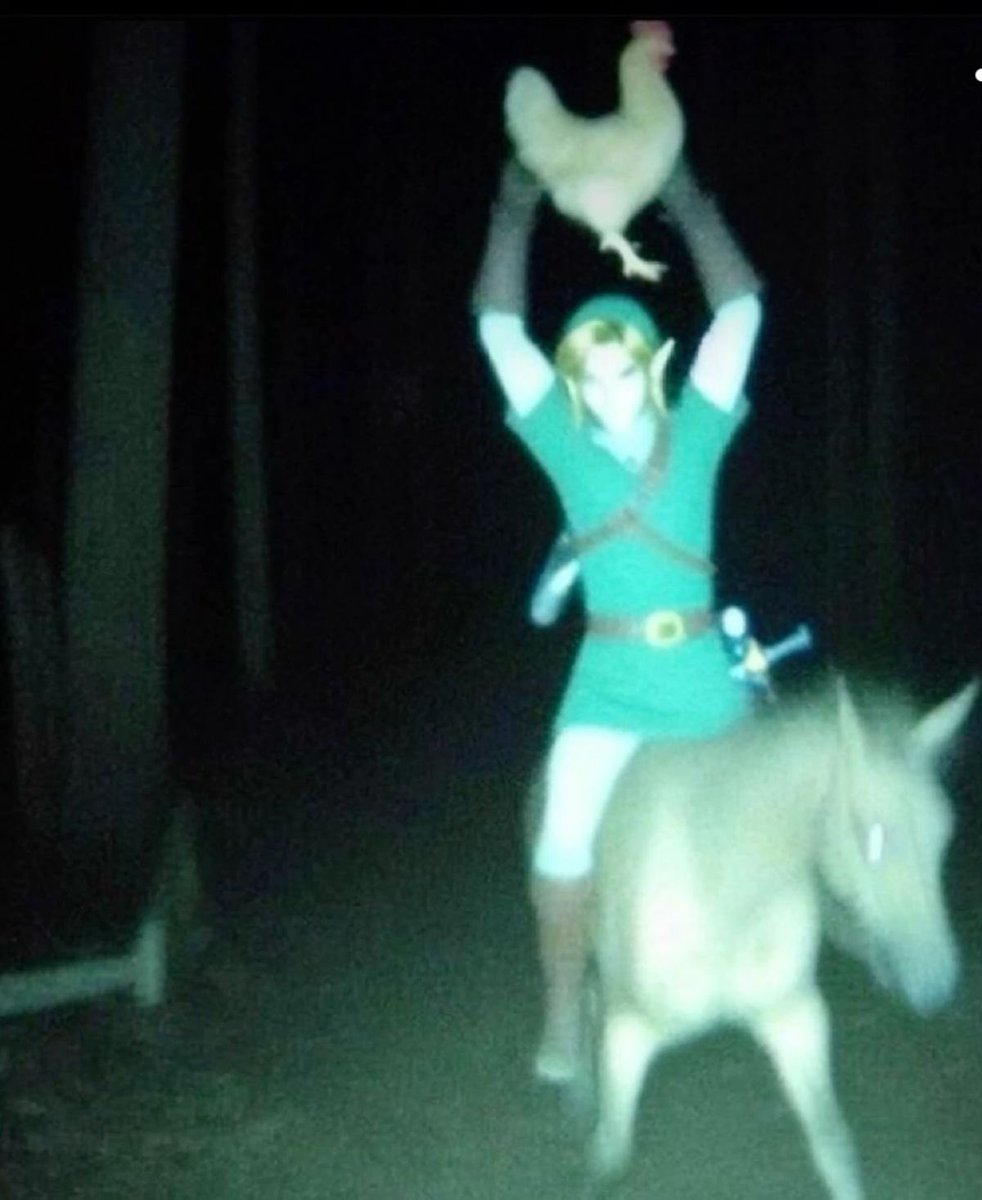 miiyashei's tweet photo. pov: youre a hylian checking your cctv after hearing your pots break https://t.co/fiwNqbppuM
